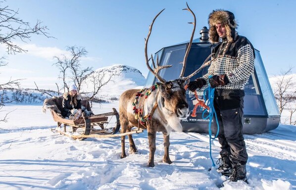 A person with a reindeer pulling a sled in a snowy landscape.