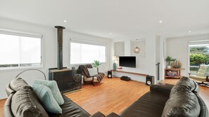 TV, fireplace, video games, DVD player