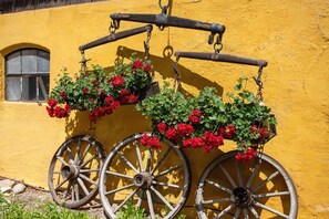 Áreas de la propiedad