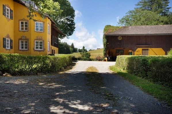 A gravel path leading to a yellow building with a clock on the side, surrounded by greenery.