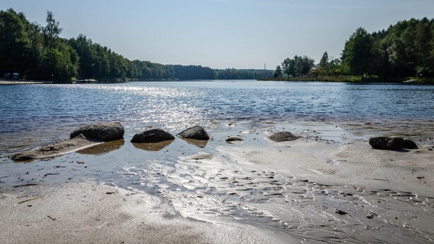 Ein Strand mit klarem Wasser, Felsen und einer bewaldeten Küste.