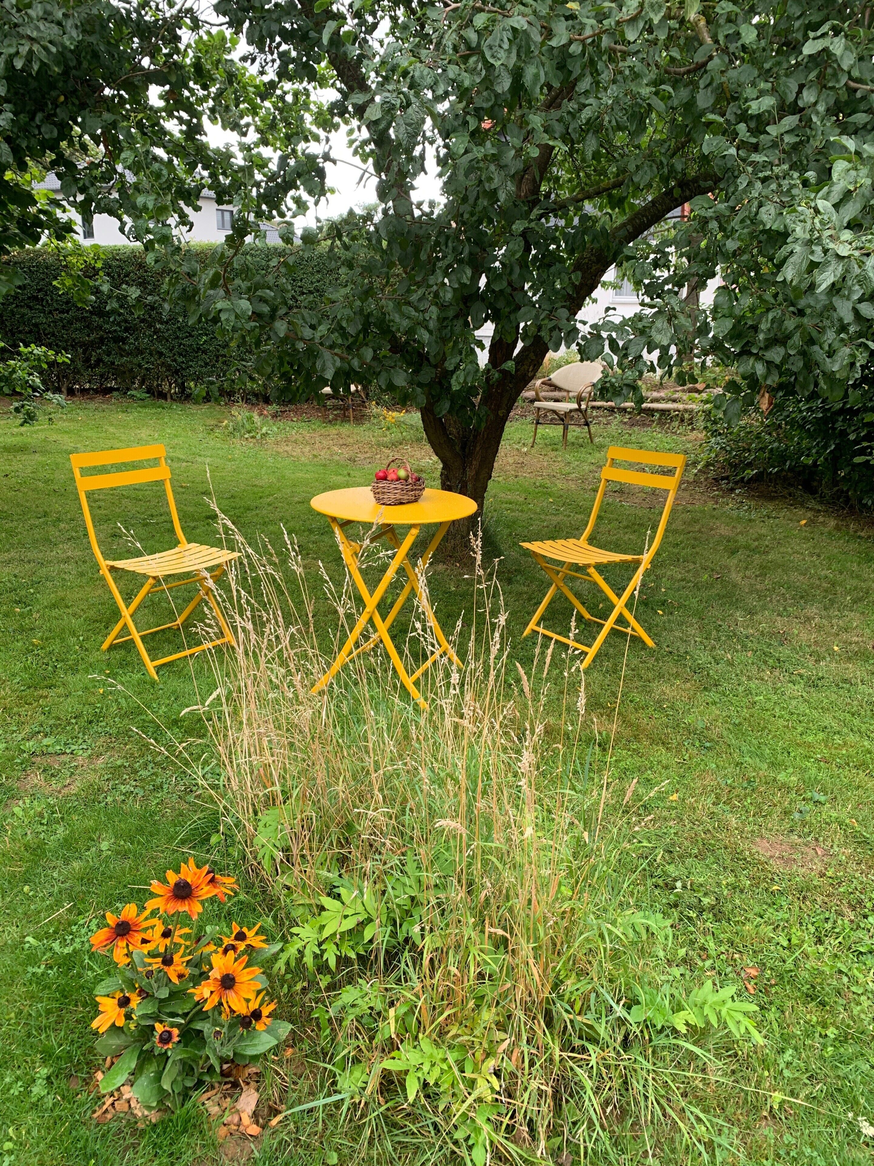 Een tuin met twee gele stoelen en een kleine tafel onder een boom.