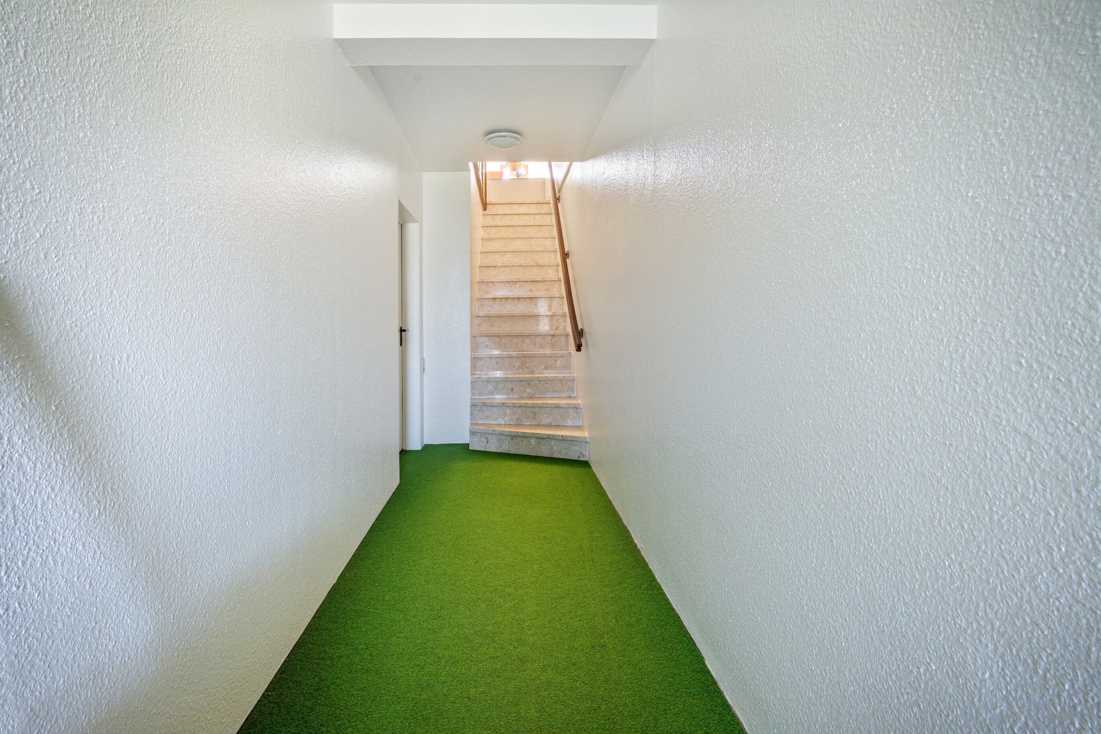 Un couloir étroit avec un tapis vert, des murs blancs et un escalier en bois.