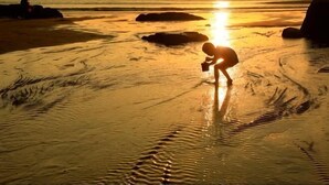 Beach - Golden Bay 38 Homestay (Cangnan)