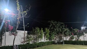 A nighttime outdoor area with a bench, a hedge, and a tree with pink flowers. - Maheshwari Homestay By GRB (Jamwa Ramgarh)