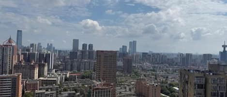 Un horizonte urbano con rascacielos, una trama urbana densa y un cielo despejado.