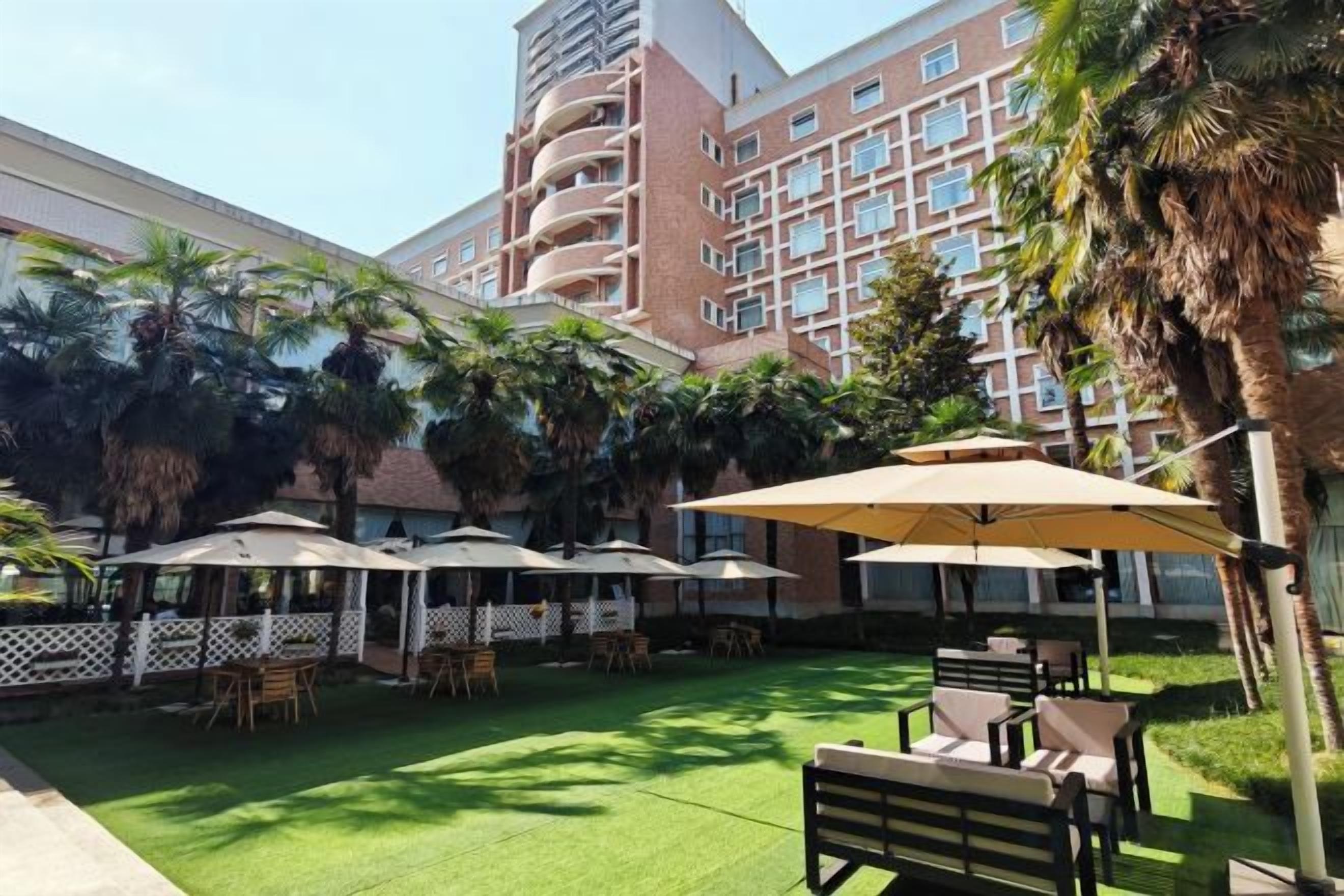 A hotel courtyard with outdoor seating, palm trees, and a building in the background.