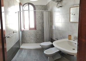 Shower, hair dryer, bidet, towels