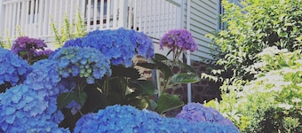 Historic Country Homestead