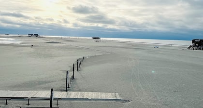 Ferienhaus "sanderling" - Gemütliches Holzhaus mit Blick auf die Schafswiesen