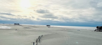 Ferienhaus "sanderling" - Gemütliches Holzhaus mit Blick auf die Schafswiesen