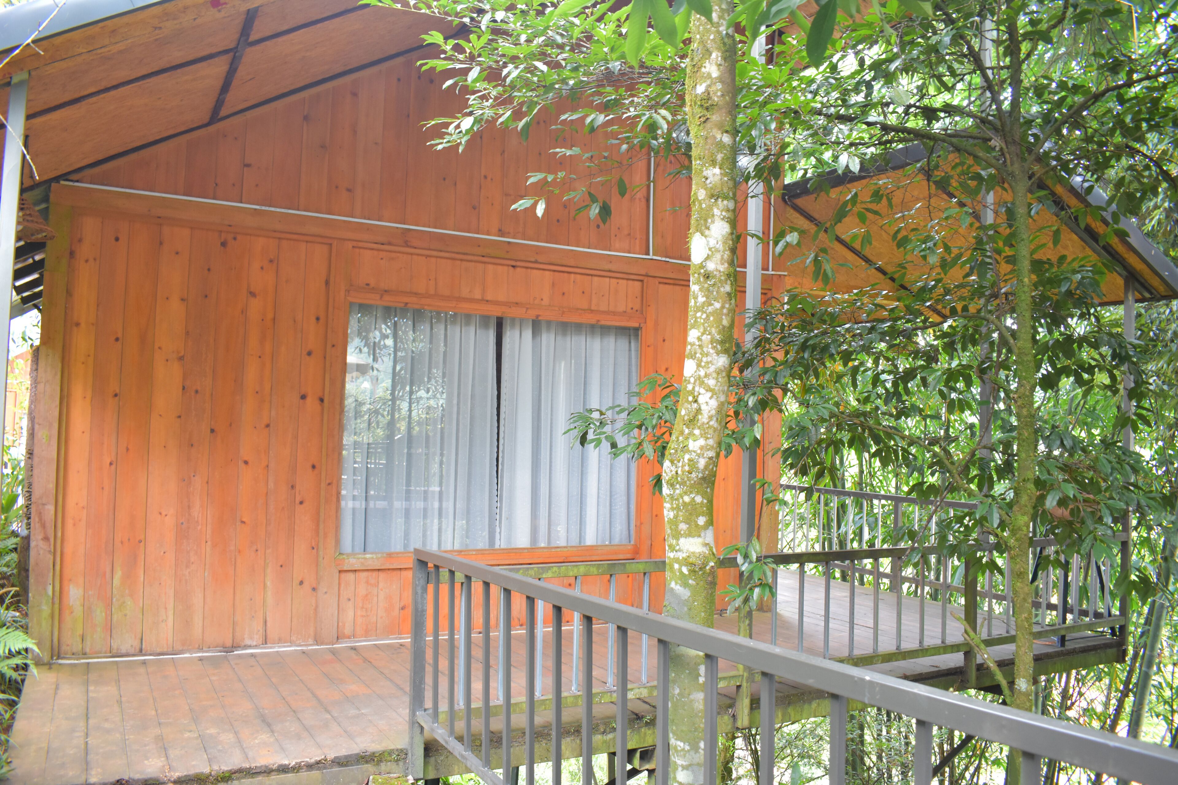 Premium Bungalow, 1 King Bed with Sofa bed, Mountain View | Terrace/patio
