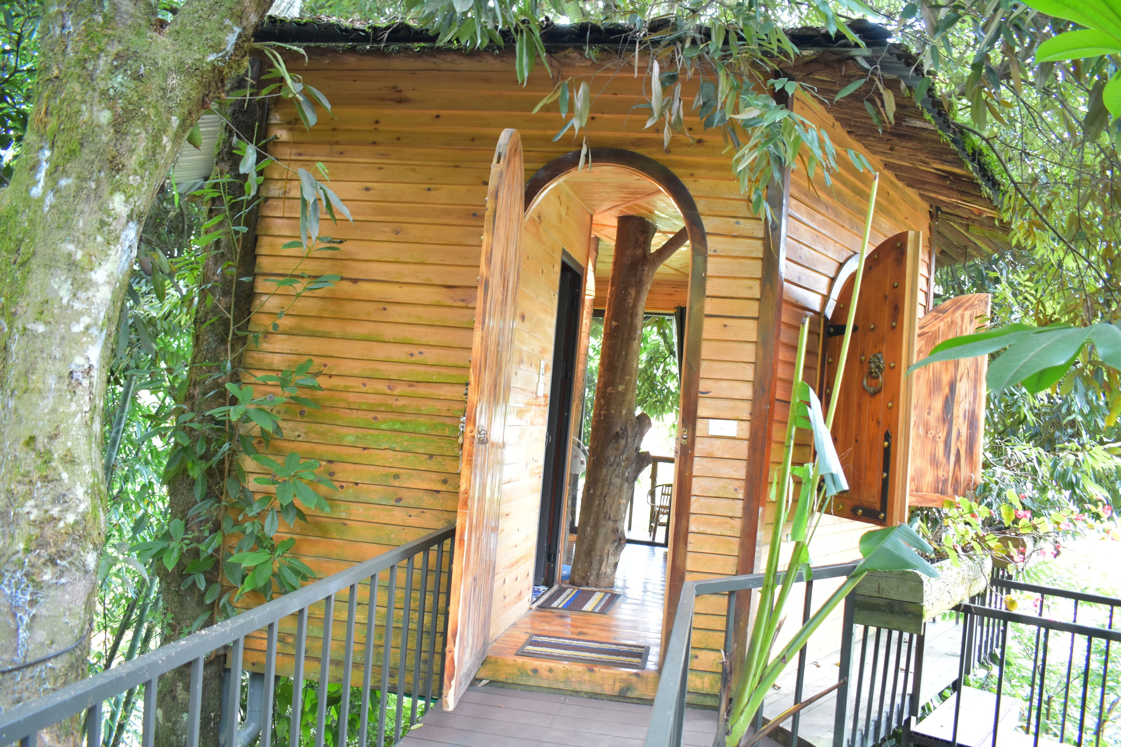 Tree House, Mountain View | Individually furnished, free WiFi