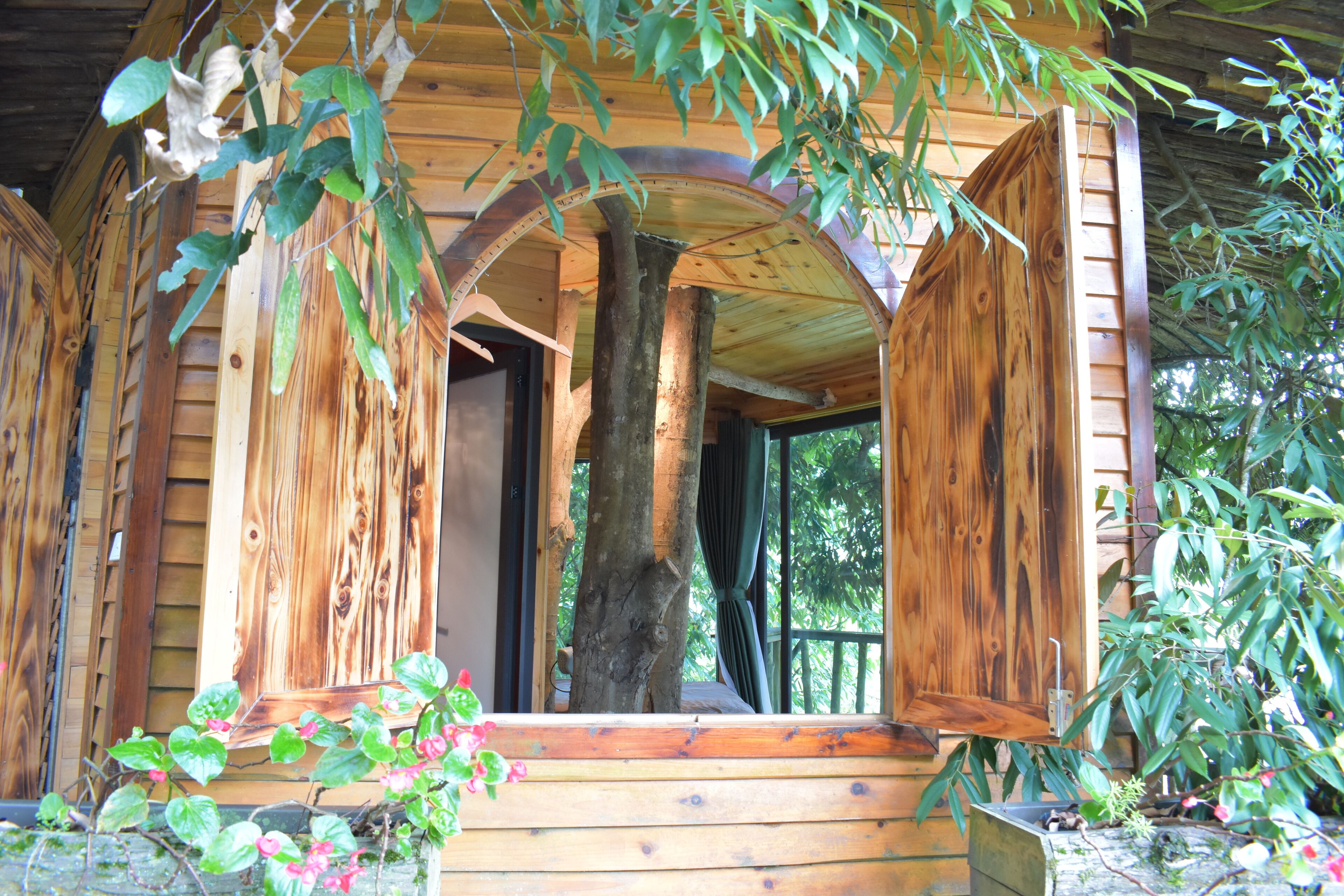 Tree House, Mountain View | Individually furnished, free WiFi