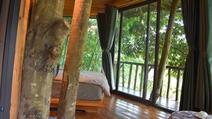 Una cabaña de madera con una cama, ventanas amplias y vistas al bosque.
