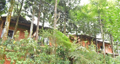 Sapa Jungle