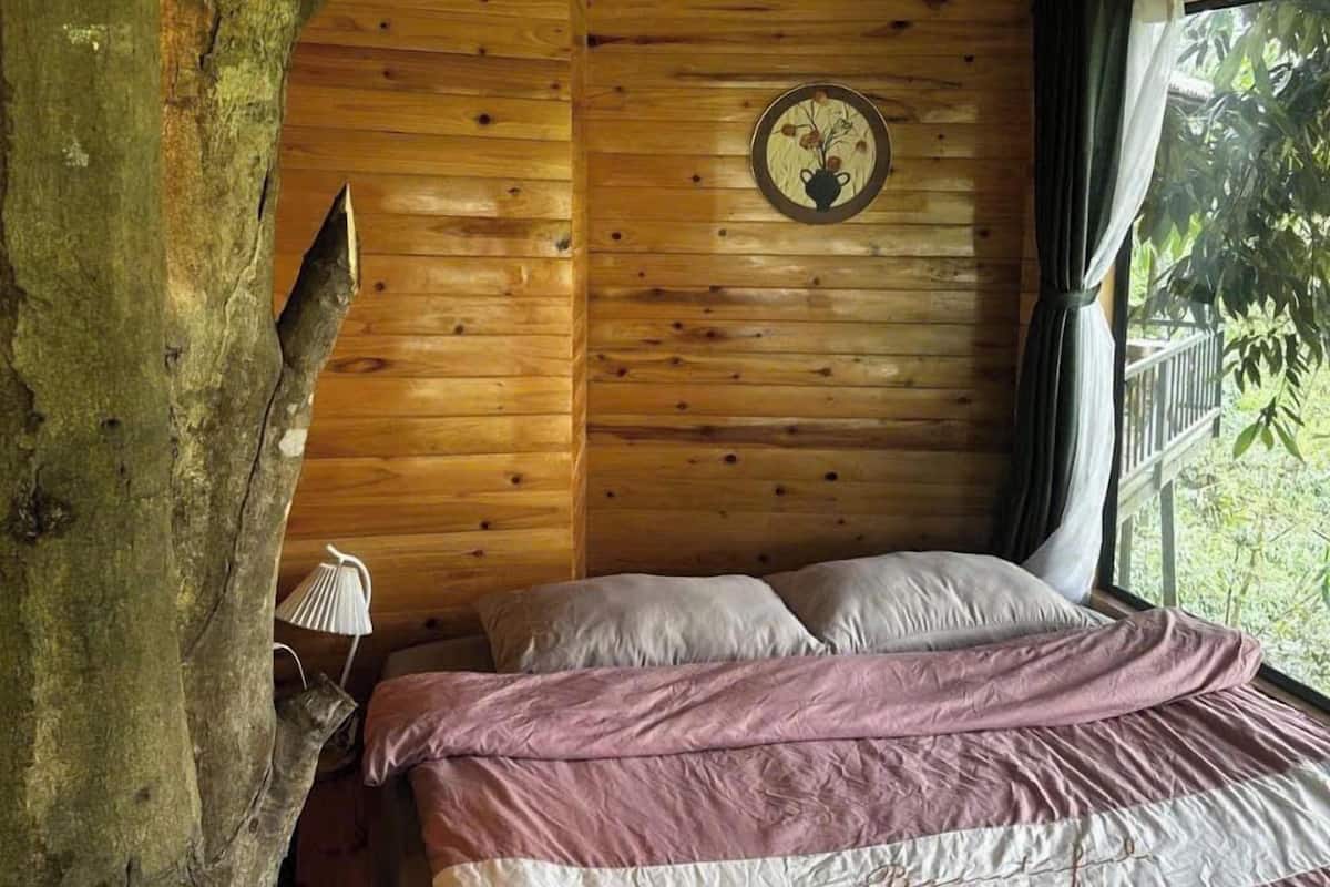 Premium boomhut | 1 slaapkamer, individueel gemeubileerd, gratis wifi