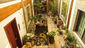 Une cour étroite agrémentée d’un petit élément décoratif avec de l’eau, d’un escalier en pierre et de plantes en pot.