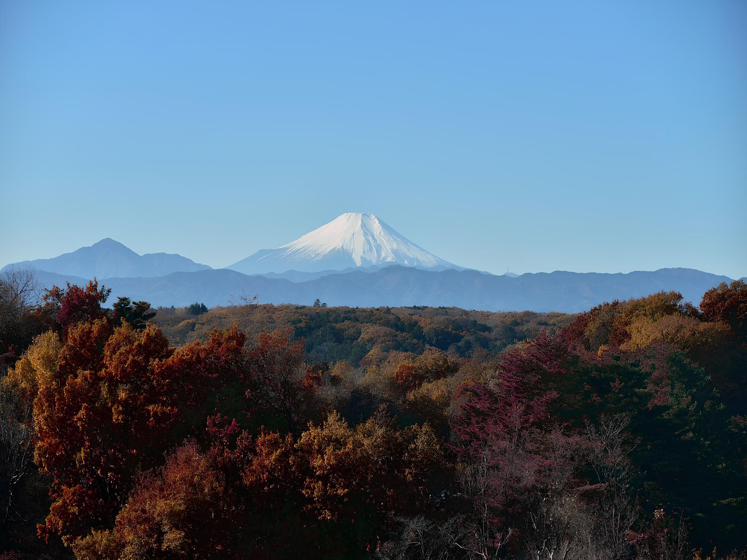 산 전망
