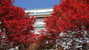 Un bâtiment moderne à la façade vitrée, entouré d’un feuillage rouge éclatant.