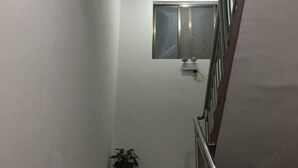 Un escalier orné d’un pot de fleurs à sa base, une rampe en métal et une fenêtre avec des stores sur le mur.
