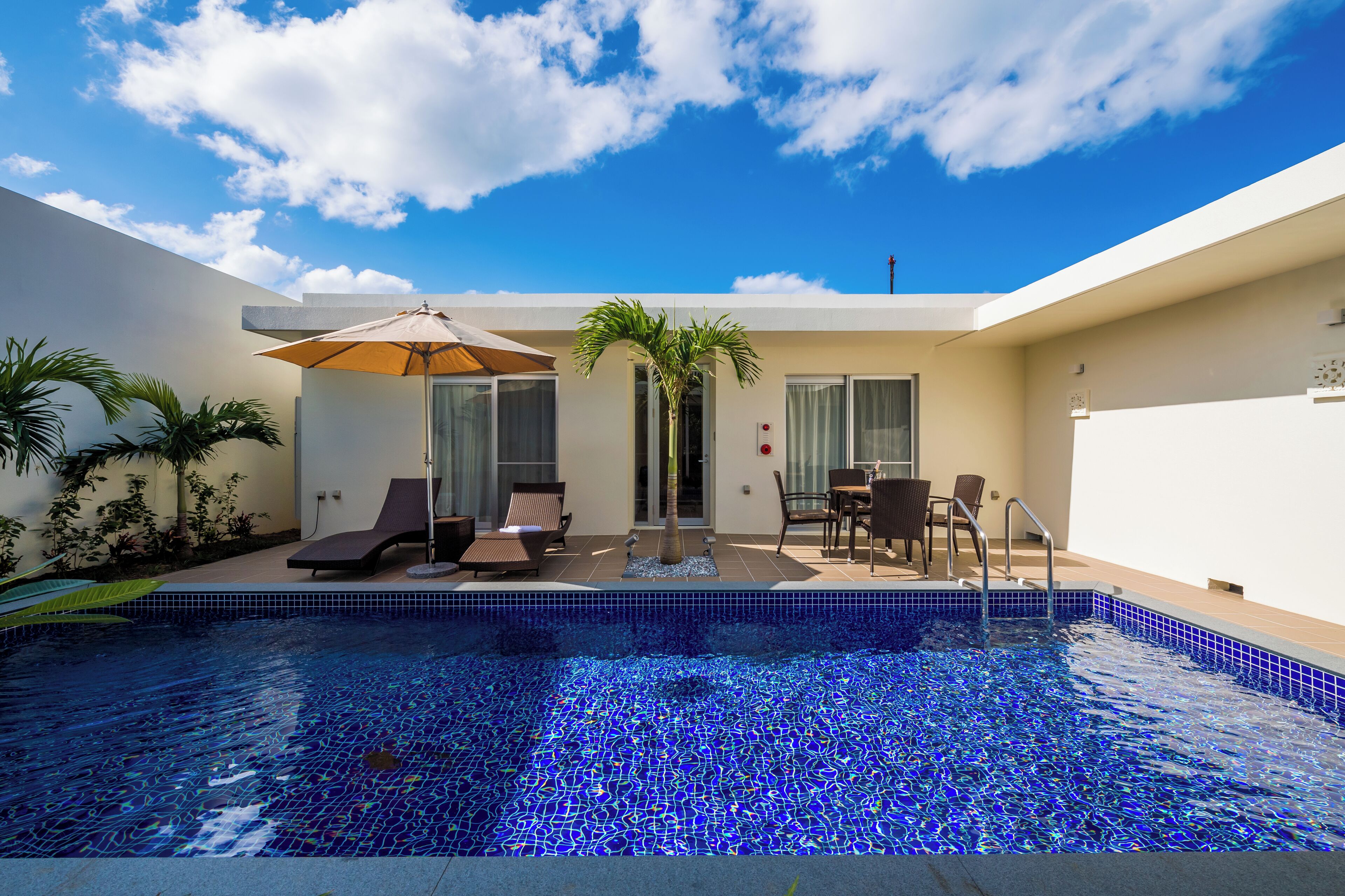 A modern outdoor pool area with lounge chairs, a table, and a palm tree.