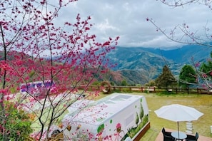 Mesa posta ao ar livre com vista para montanhas e cerejeiras em flor.