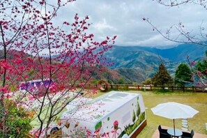 Room - Chingjing Sunshine Vacation Villa (Nantou)