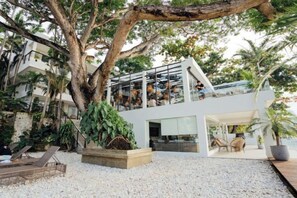 Un bâtiment moderne avec une façade en verre, des places assises en plein air et un grand arbre au premier plan.