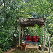 A wooden swing chair under a thatched roof structure surrounded by lush greenery.