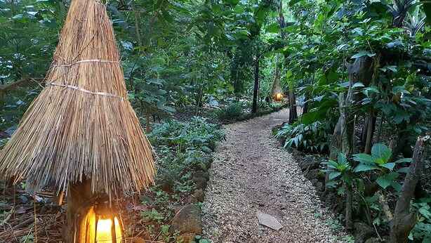 Un estrecho sendero de grava rodeado de vegetación exuberante, que conduce a una construcción de techo de paja con una fuente de luz en su interior.