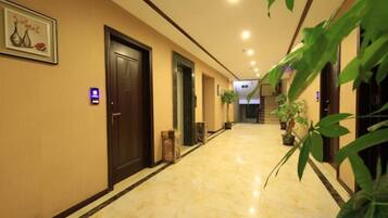 A hotel corridor with doors, potted plants, and a polished floor.