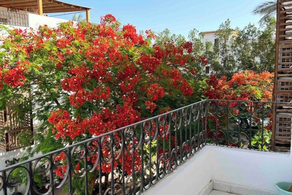 Área da propriedade