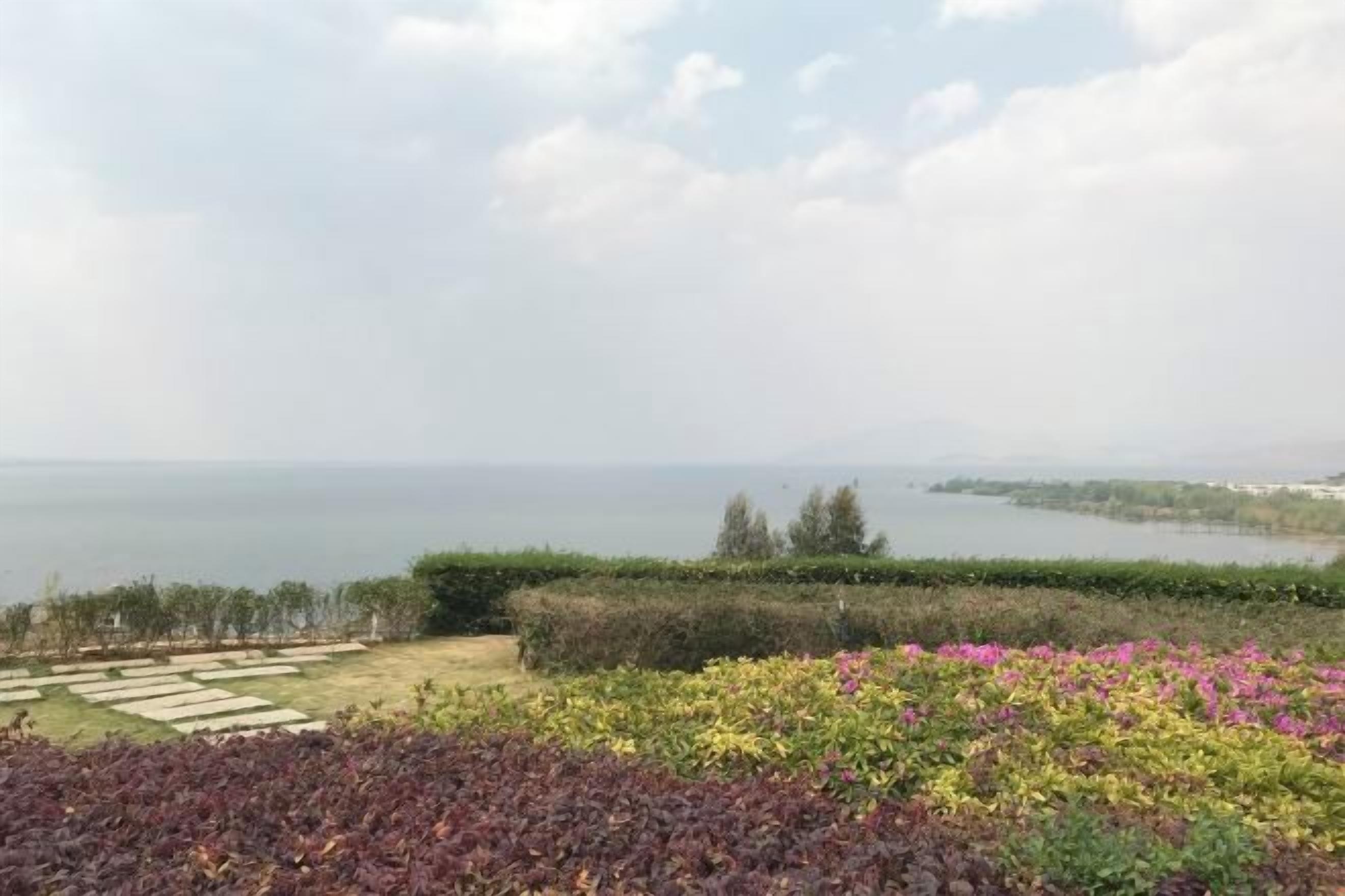 A landscaped garden with a view of the sea.