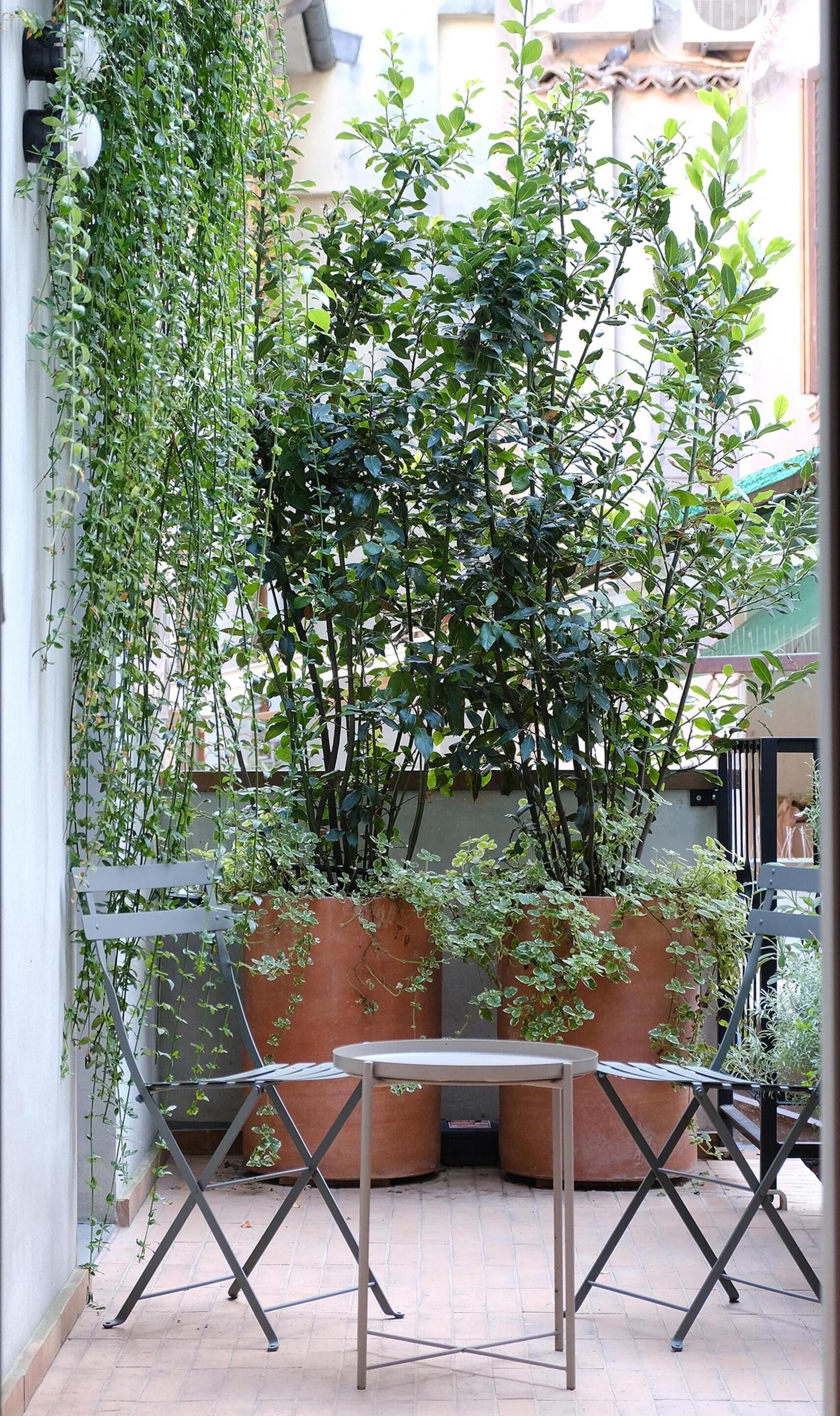 Un pequeño espacio al aire libre con mesa y sillas, rodeado de plantas en macetas y una enredadera en la pared.