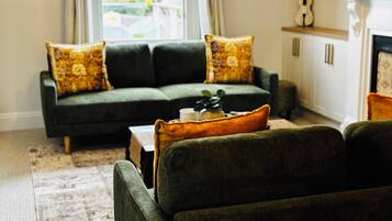 Smart TV, fireplace, books