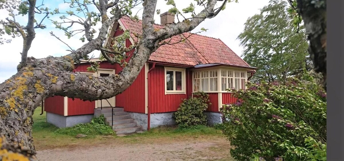 Värdens profilbild