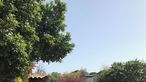 Speisen im Freien