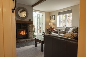 Fernseher, Kamin