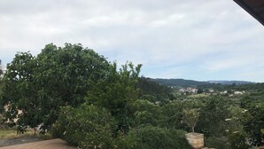 House | Property grounds