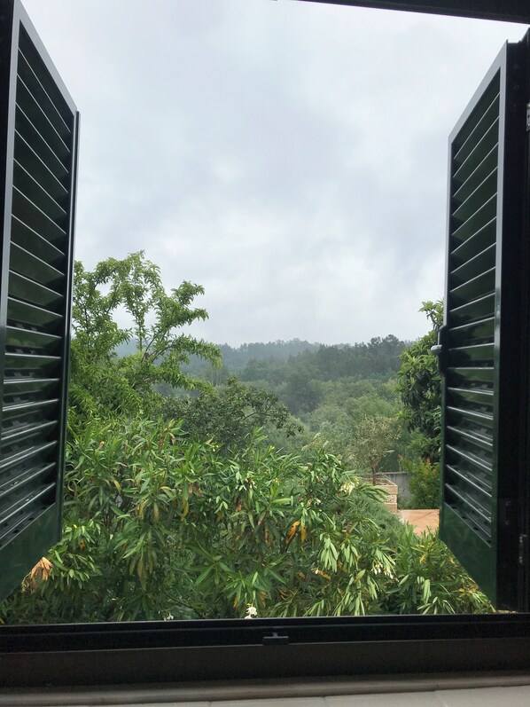 House | Interior - Poiares Palheiros Cozy Cottage (Vila Nova de Poiares)