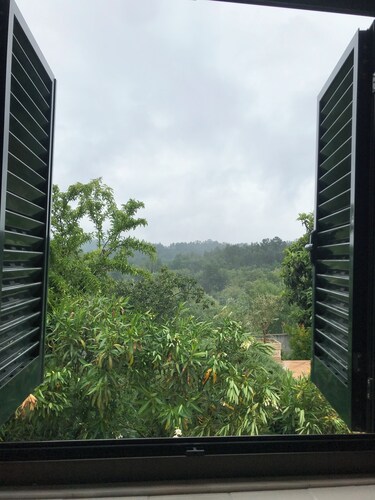 Poiares Palheiros Cozy Cottage