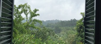 Poiares Palheiros Cozy Cottage