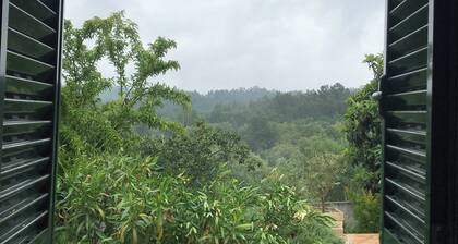 Poiares Palheiros Cozy Cottage