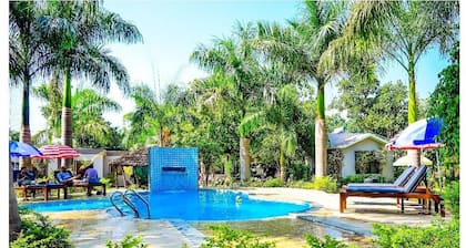 Kingfisher resorts