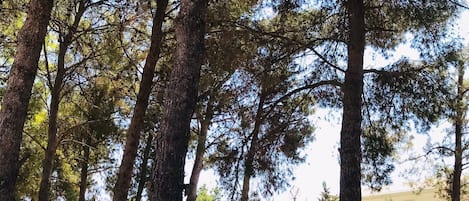 Parco della struttura