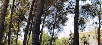 Location Ideale per il Vostro Soggiorno nel Cuore Pulsante del Salento