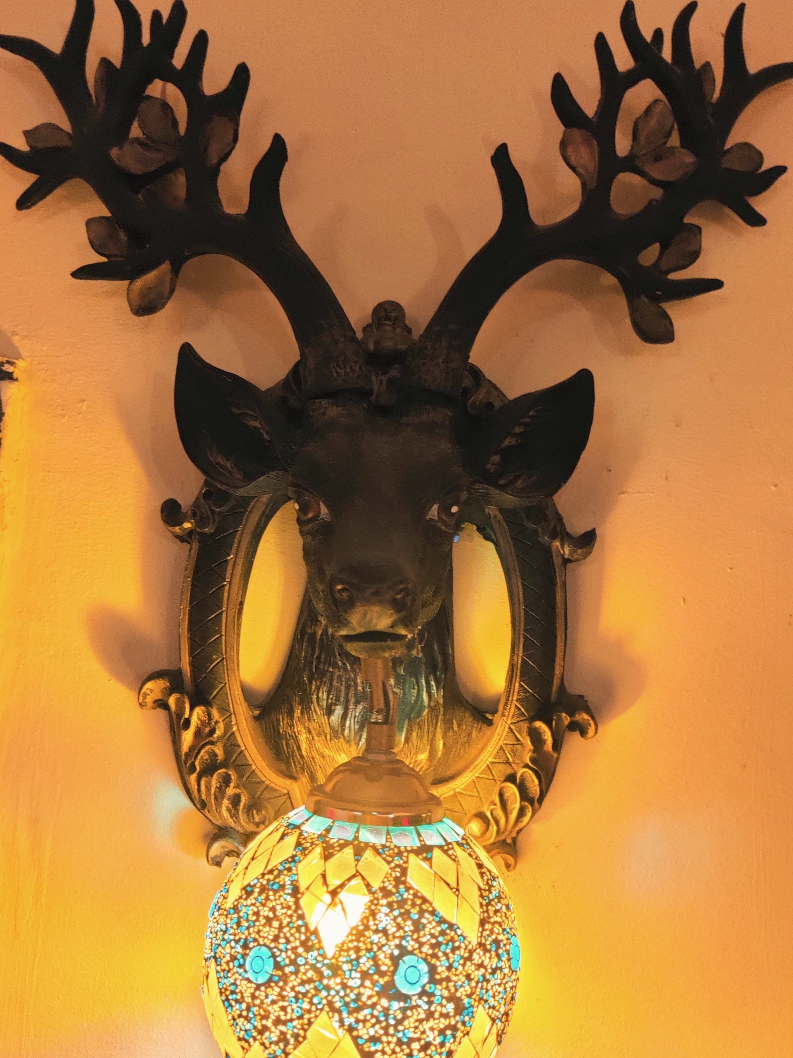 A wall-mounted deer head with antlers and a decorative light fixture below it.