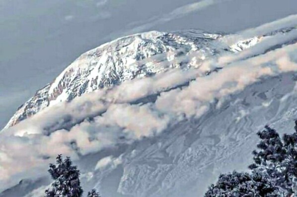 Terrace/patio - Simba Villa (Arusha)