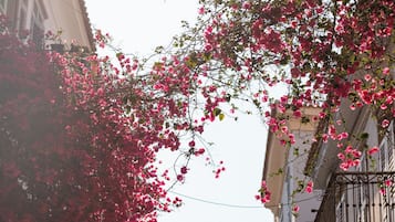 Eine Straße gesäumt von Gebäuden mit rosa blühenden Weinreben.